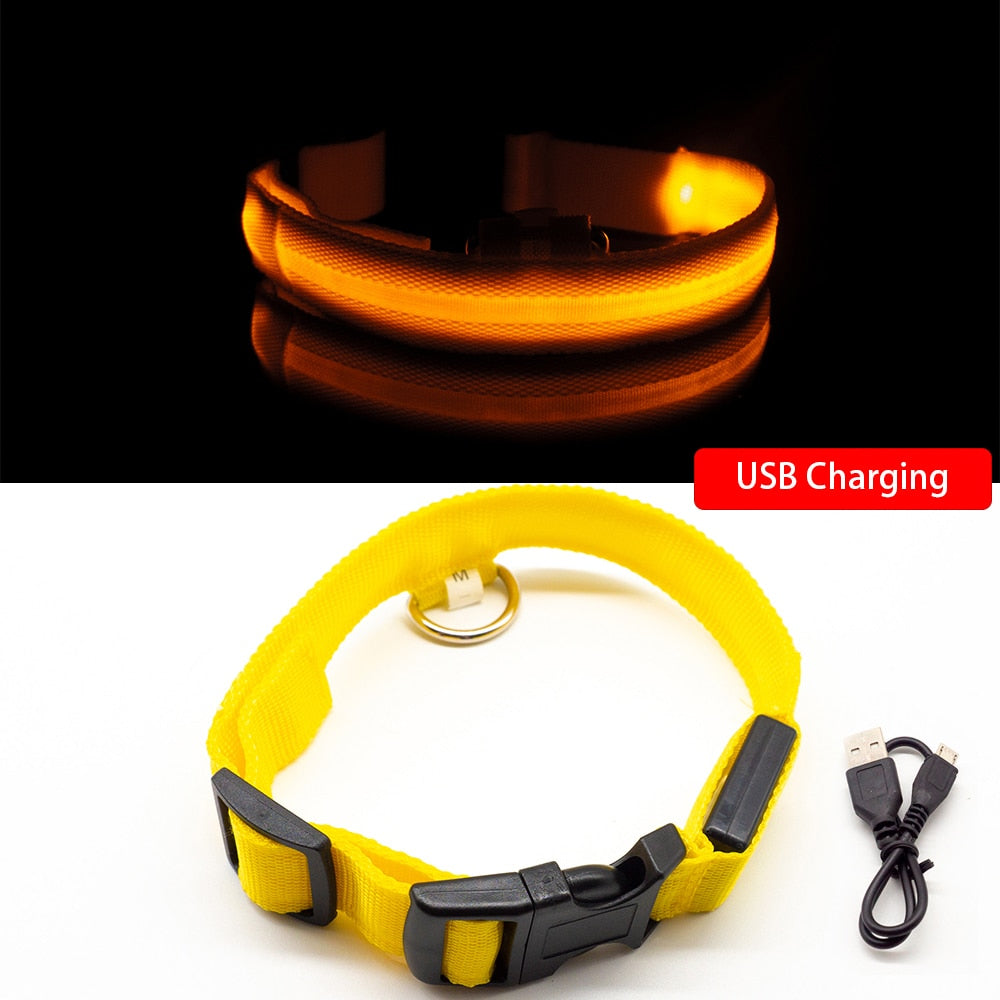 USB Charging/Battery replacement Led Dog Collar. Anti-Lost Collar For Dogs, Dog Collars Leads LED Supplies
