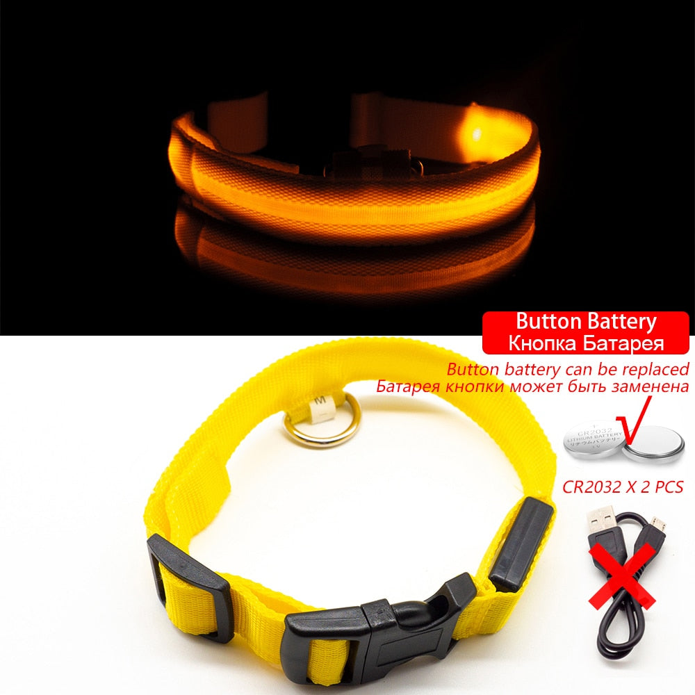 USB Charging/Battery replacement Led Dog Collar. Anti-Lost Collar For Dogs, Dog Collars Leads LED Supplies