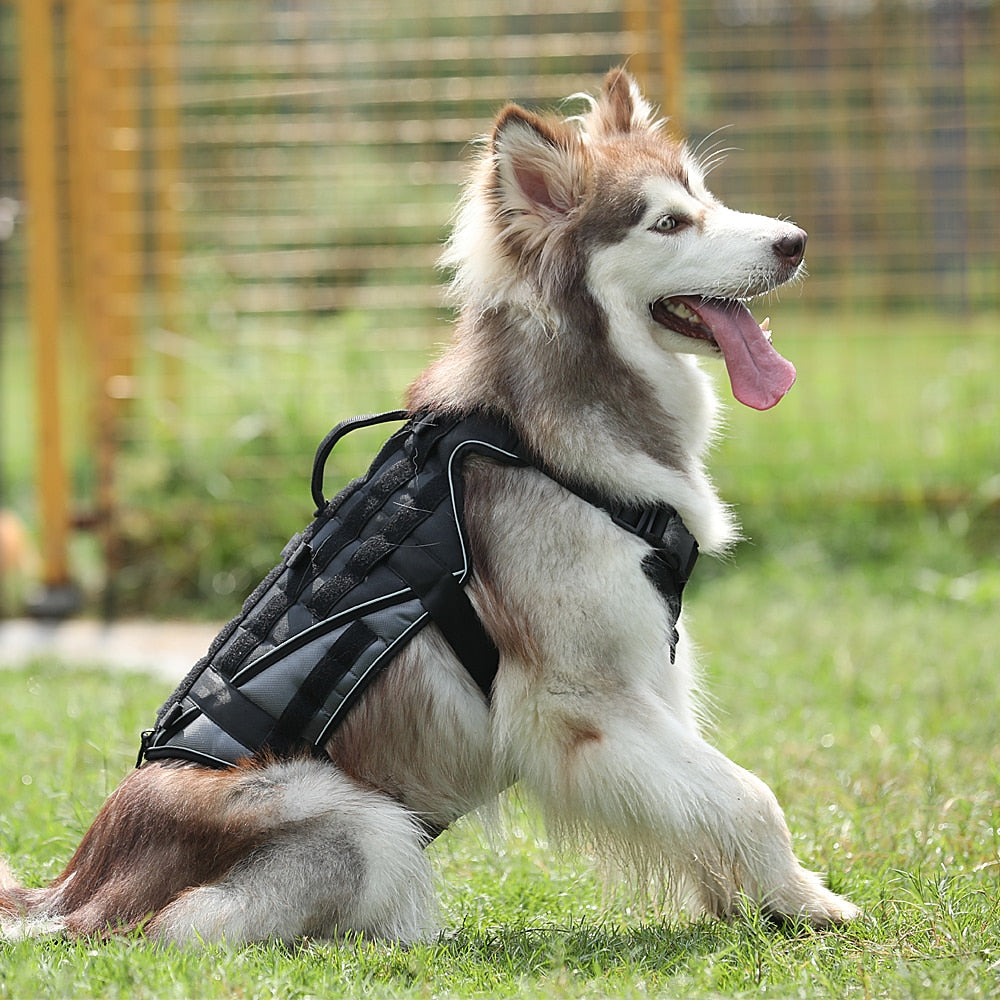 Military Tactical Dog Harness, Nylon Reflective, Working Dog Harness, Adjustable