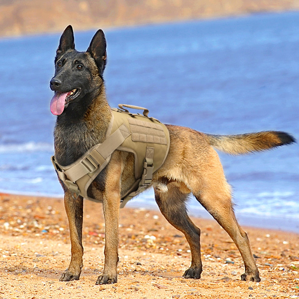 Tactical Dog Harness, Military Training Dog Vest, Harness, Vest For Medium/Large Dogs