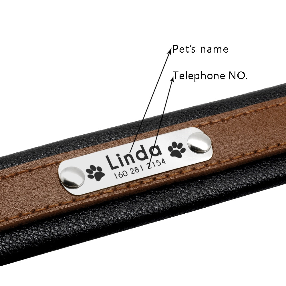 Fashionable Dog Collar, Genuine Leather, Personalized Pet Name ID Collar