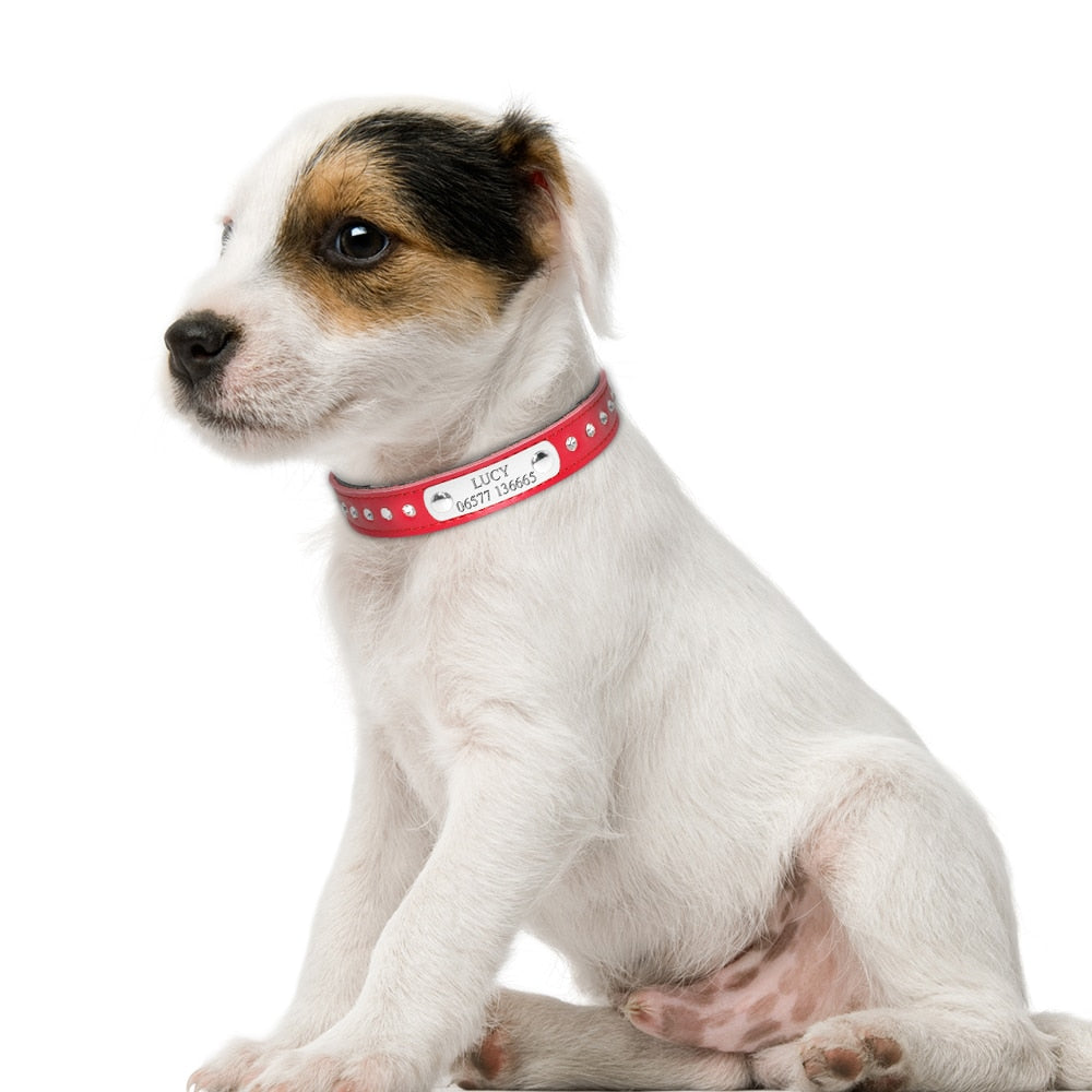 Give Your Pet Some Style With These Personalized Dog Collars, Engraved Leather Collars