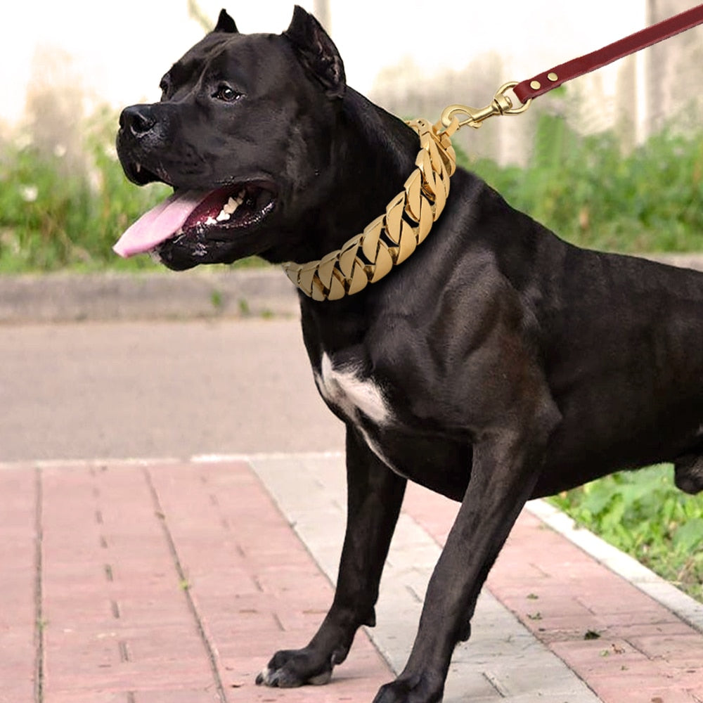 Unleash Your Dog's Inner Warrior with Our Heavy-Duty Metal Chain Collar