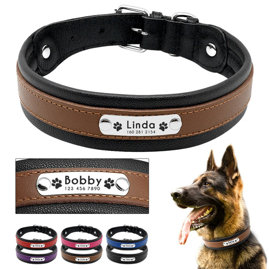 Fashionable Dog Collar, Genuine Leather, Personalized Pet Name ID Collar