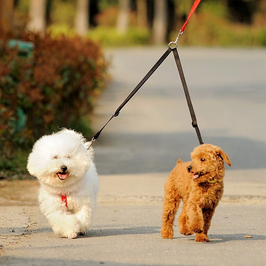 Walk Two Dogs with A Single Lead Double Leashes Coupler Twin Lead Walking Leash